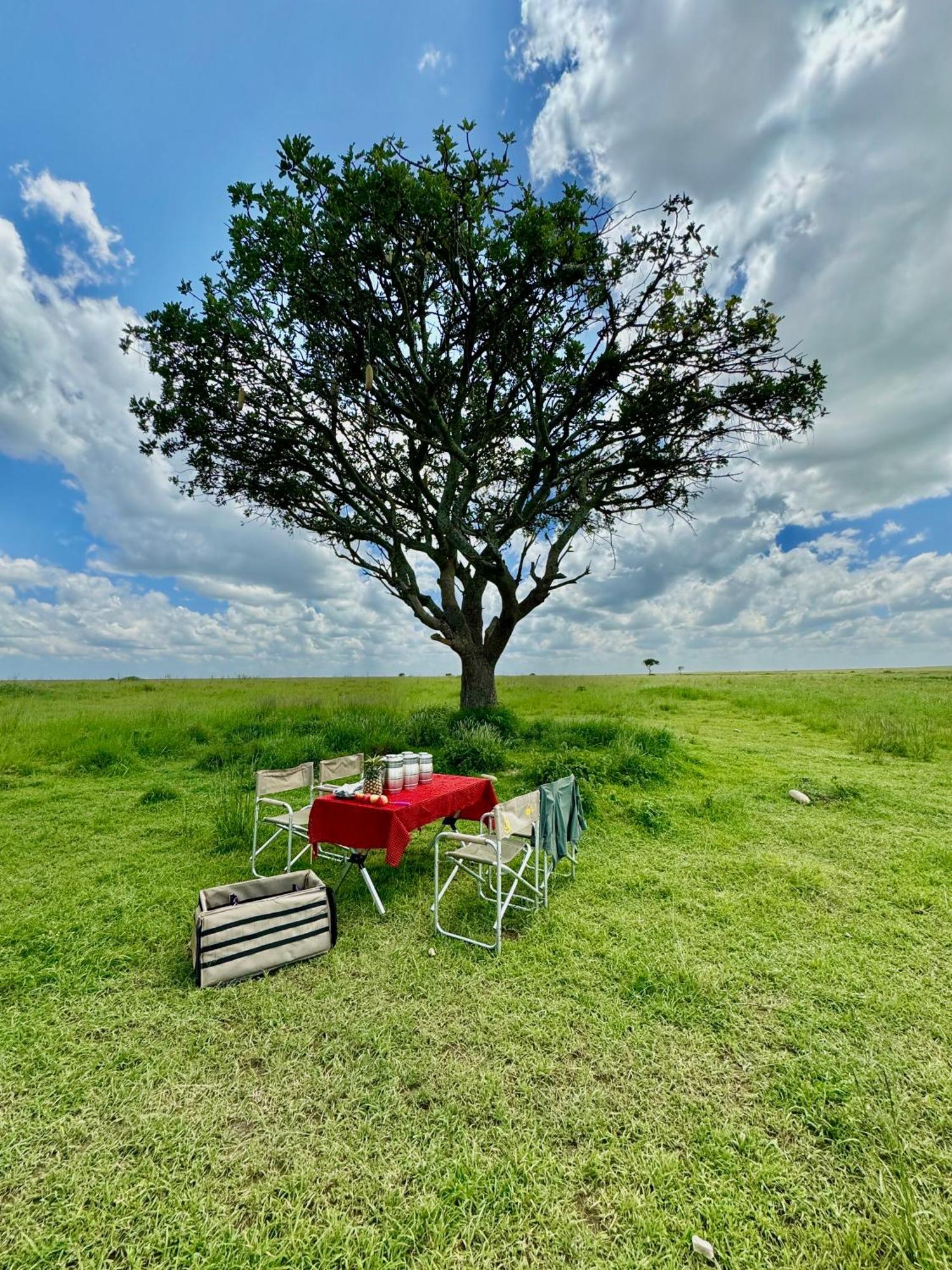 Shimbwe Meadows Guest House Moshi Exterior foto